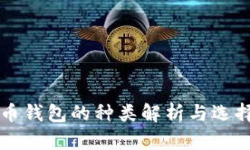 比特币钱包的种类解析与选择指南