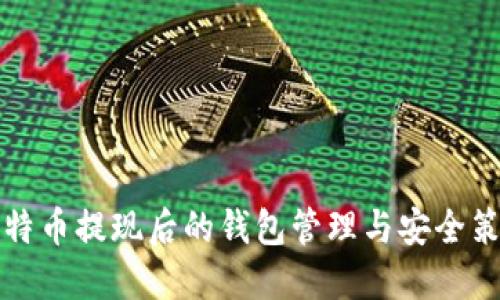 比特币提现后的钱包管理与安全策略