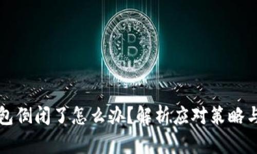 虚拟币钱包倒闭了怎么办？解析应对策略与风险管理