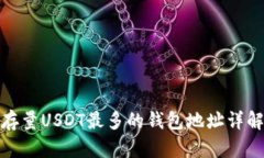 存量USDT最多的钱包地址详