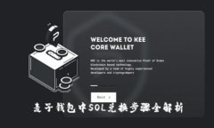 麦子钱包中SOL兑换步骤全