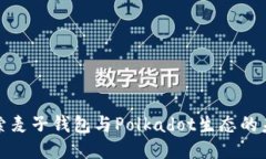 探索麦子钱包与Polkadot生态