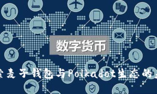 探索麦子钱包与Polkadot生态的未来
