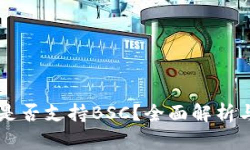 麦子钱包是否支持BSC？全面解析与使用指南