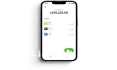 全面解析Lisk钱包的使用教