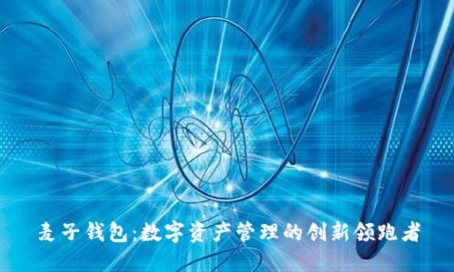 麦子钱包：数字资产管理的创新领跑者