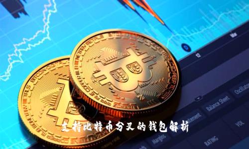 支持比特币分叉的钱包解析