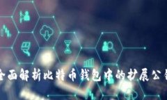 全面解析比特币钱包中的
