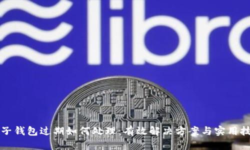 麦子钱包过期如何处理：有效解决方案与实用技巧