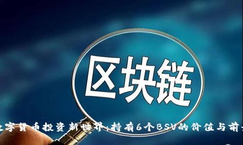 数字货币投资新世界：持有6个BSV的价值与前景