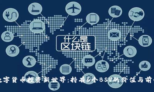 数字货币投资新世界：持有6个BSV的价值与前景