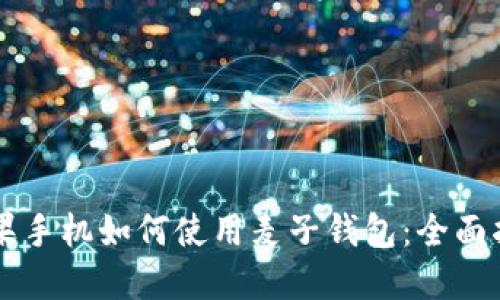 苹果手机如何使用麦子钱包：全面指南