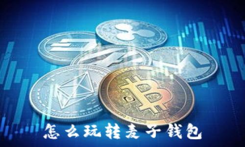   
怎么玩转麦子钱包