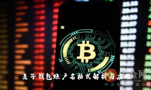 麦子钱包账户名格式解析与应用