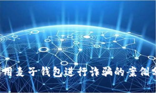  利用麦子钱包进行诈骗的案例分析