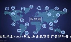 探索超级现金hcash钱包：未