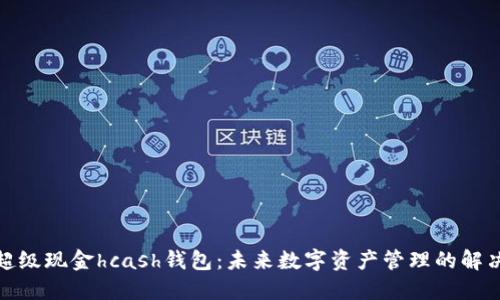 探索超级现金hcash钱包：未来数字资产管理的解决方案