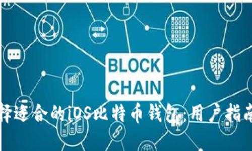 如何选择适合的iOS比特币钱包：用户指南与推荐