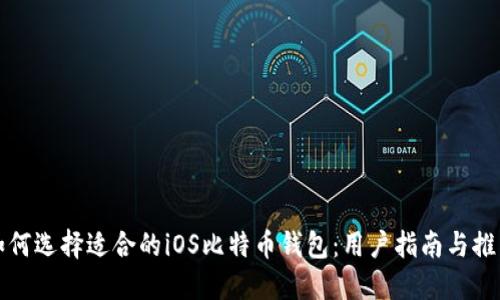 如何选择适合的iOS比特币钱包：用户指南与推荐
