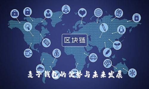麦子钱包的优势与未来发展