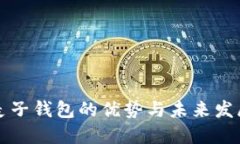 麦子钱包的优势与未来发