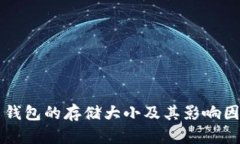 莱特币钱包的存储大小及其影响因素详解