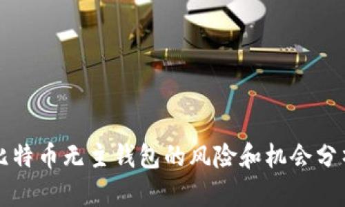 比特币无主钱包的风险和机会分析