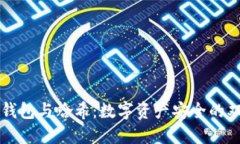 区块链钱包与哈希：数字资产安全的双重保障