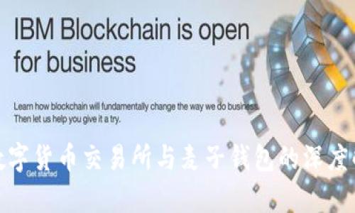 : 数字货币交易所与麦子钱包的深度解析